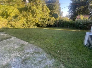 Phoebe P.'s turf care service result