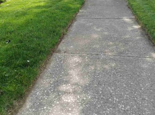 Deirdra C.'s grass cutting service result