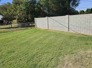 Stephany G.'s turf care service result