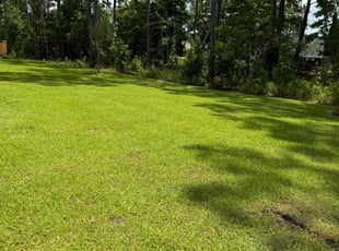 Jenna W.'s grass maintenance service result