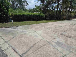 Sam N.'s lawn maintenance service result