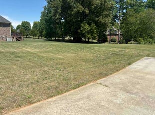 Ericka S.'s lawn care service result