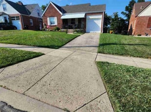 Richard R.'s turf maintenance service result