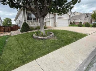 Katherine H.'s turf care service result