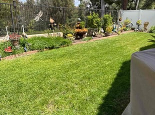 Casey F.'s lawn care service result