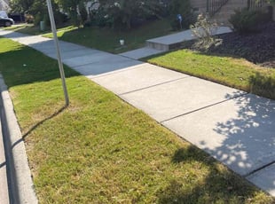 Donn M.'s turf care service result