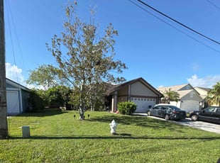 Lindsay P.'s lawn care service result