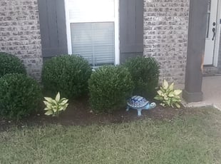 Mike G.'s Bush Trimming service result