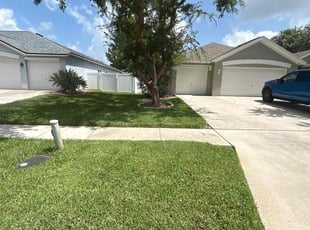 Mathew S.'s turf care service result