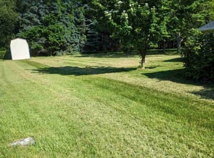 Elizabeth S.'s lawn maintenance service result