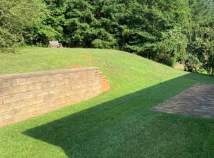 Michelle B.'s lawn service service result