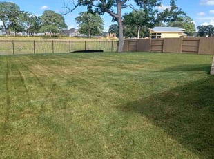 Dustin S.'s grass cutting service result
