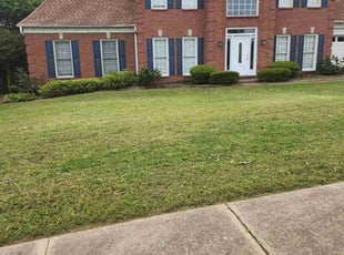 Ronald G.'s lawn service service result
