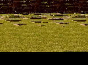Charlene G.'s lawn care services service result