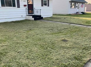 Dennis C.'s grass maintenance service result