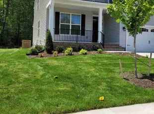 Salina R.'s lawn service service result