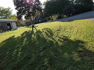 Axel I.'s grass cutting service result