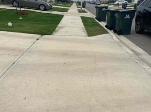 Punya G.'s grass cutting service result