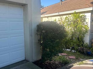 Erin C.'s Bush Trimming service result