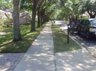 Blake B.'s lawn maintenance service result