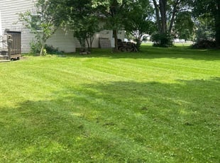Jeffrey C.'s lawn care services service result
