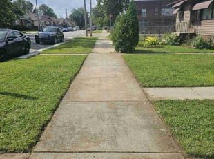 Deanna S.'s turf maintenance service result