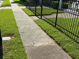 Betsey B.'s grass maintenance service result