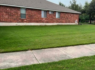 Jazmin L.'s turf maintenance service result