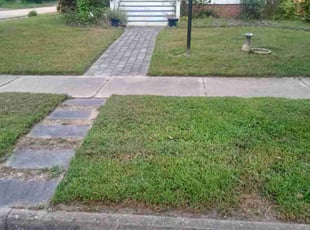 Ronald A.'s grass maintenance service result