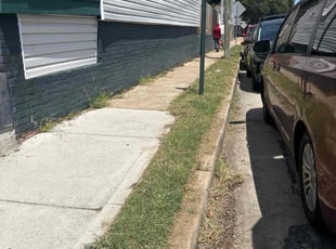 Mike A.'s lawn care service result