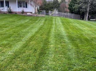 Syolanda S.'s lawn service service result