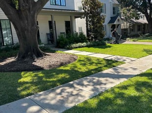 Will S.'s turf maintenance service result