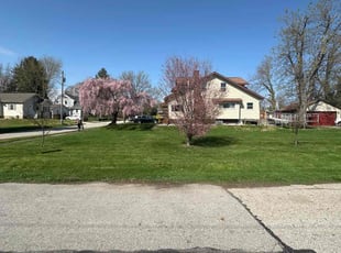 Joy M.'s turf care service result