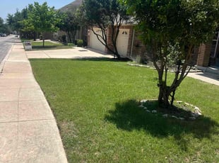 Brianna B.'s turf care service result