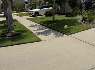 Tammy M.'s lawn maintenance service result