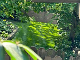 Leonida W.'s lawn care services service result