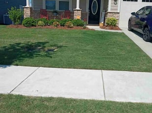 Dewayne P.'s lawn maintenance service result
