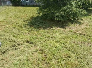 Shirley M.'s turf care service result