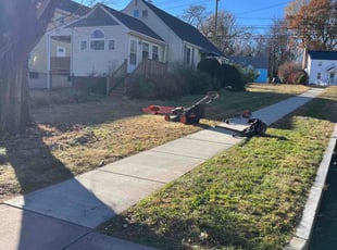 Brian S.'s Leaf Removal service result