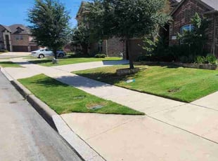 Jeremy J.'s turf care service result