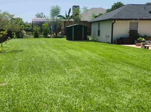 Megan S.'s landscaping services service result