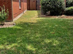 Eddy R.'s turf maintenance service result