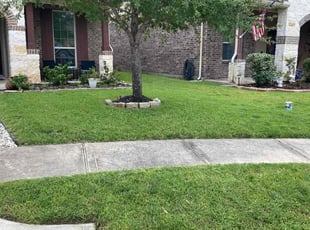 Karyn B.'s yard work service result