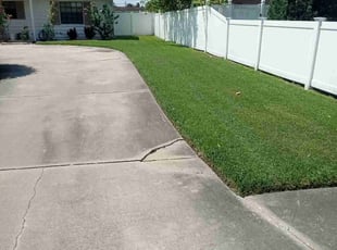 Carol K.'s lawn care services service result