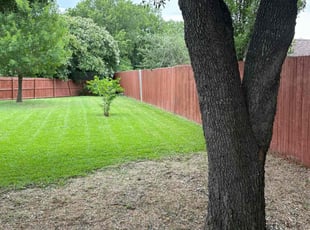 Lisa H.'s lawn service service result