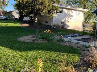 Andrea J.'s grass maintenance service result