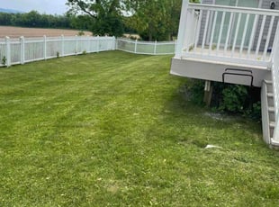 Madelyn B.'s lawn service service result