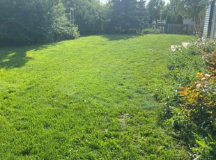 Teri M.'s lawn care services service result