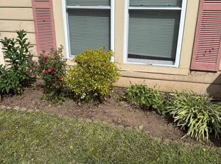 Jessica C.'s Flower Bed Weeding service result