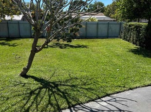 Julio B.'s grass maintenance service result